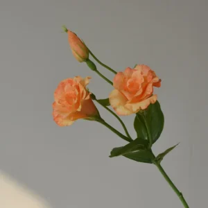 Orange artificial lisianthus stem
