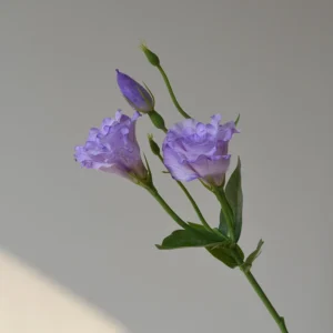 Alternate view of purple artificial lisianthus stem