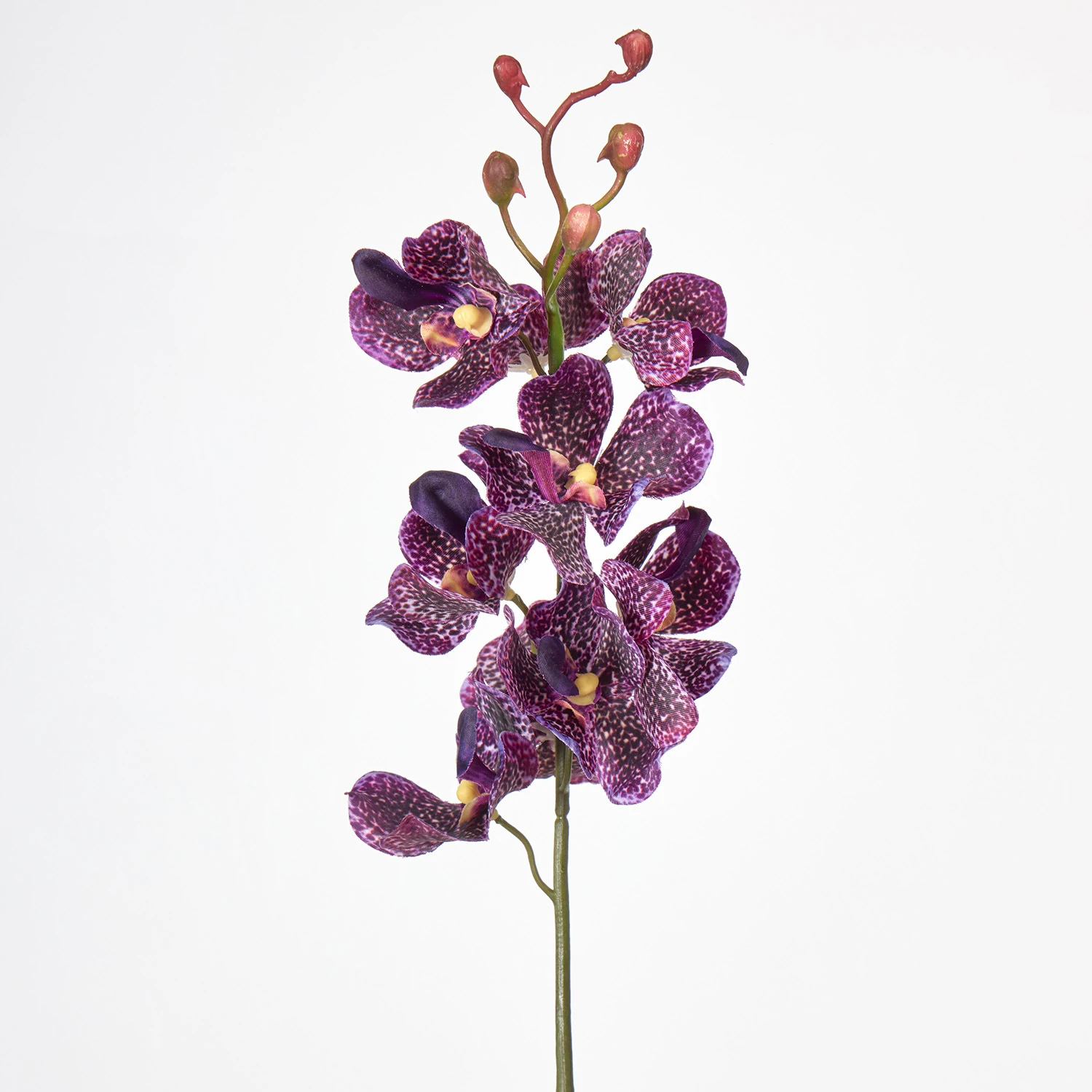 Burgundy artificial mokara orchid stem
