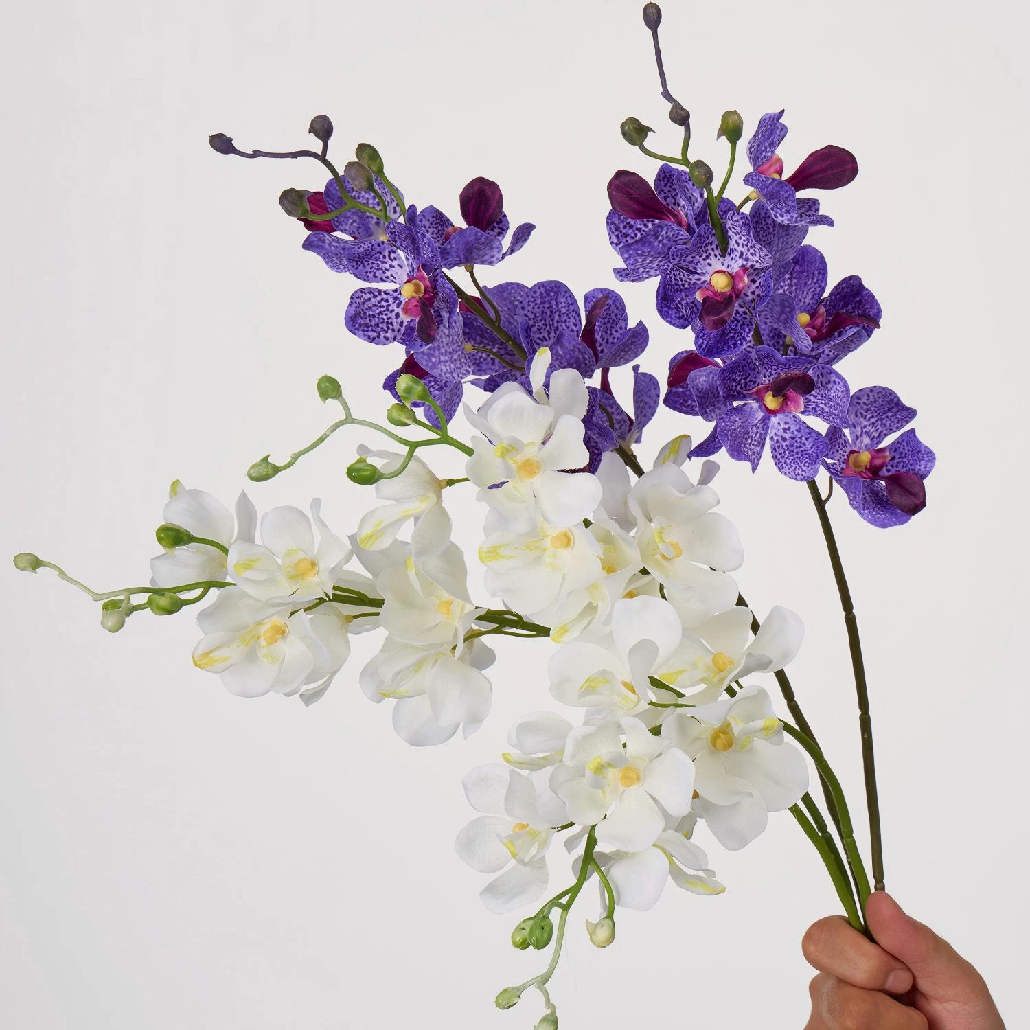 Available colors for artificial mokara orchid stem