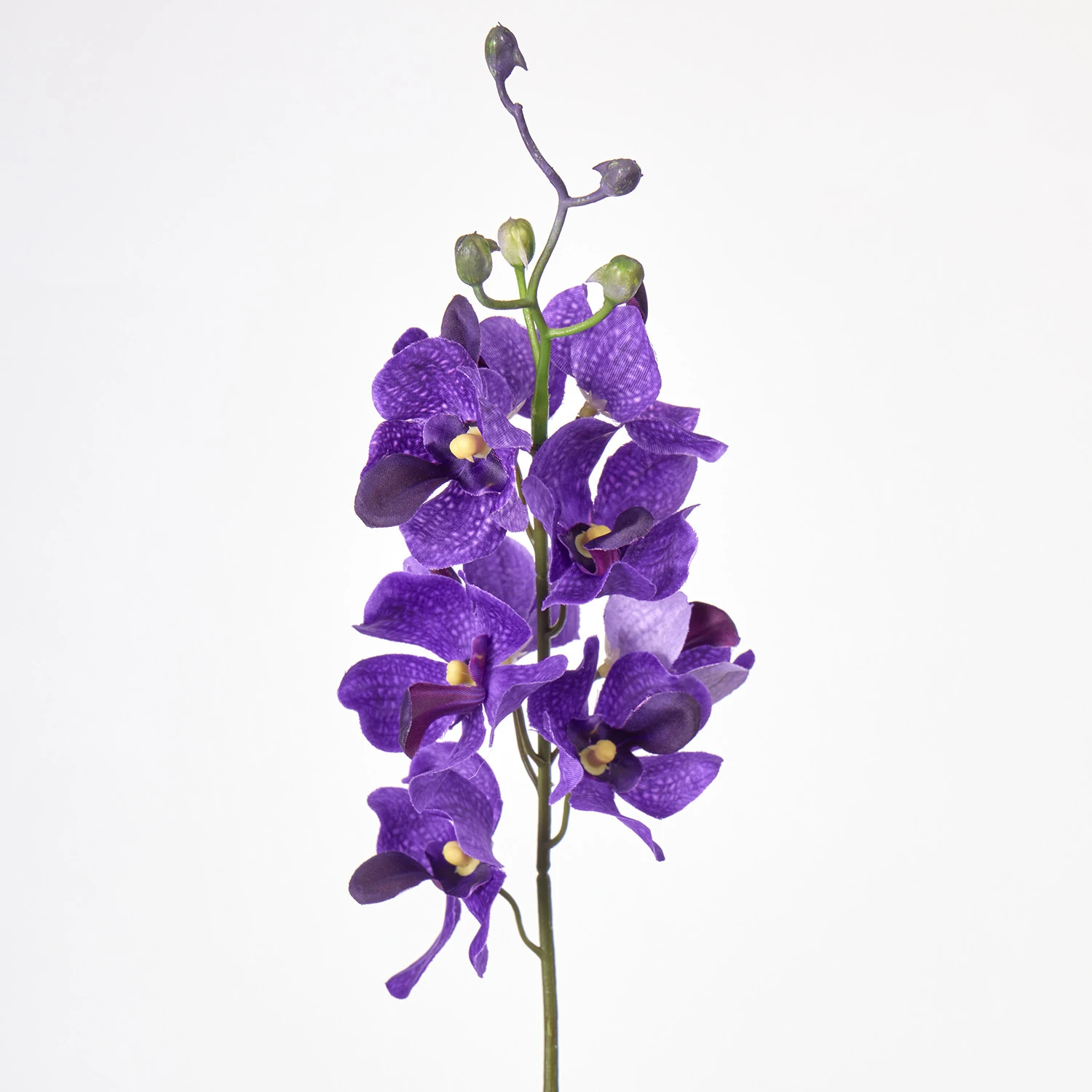 Violet artificial mokara orchid stem