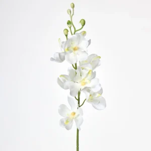 White artificial mokara orchid stem