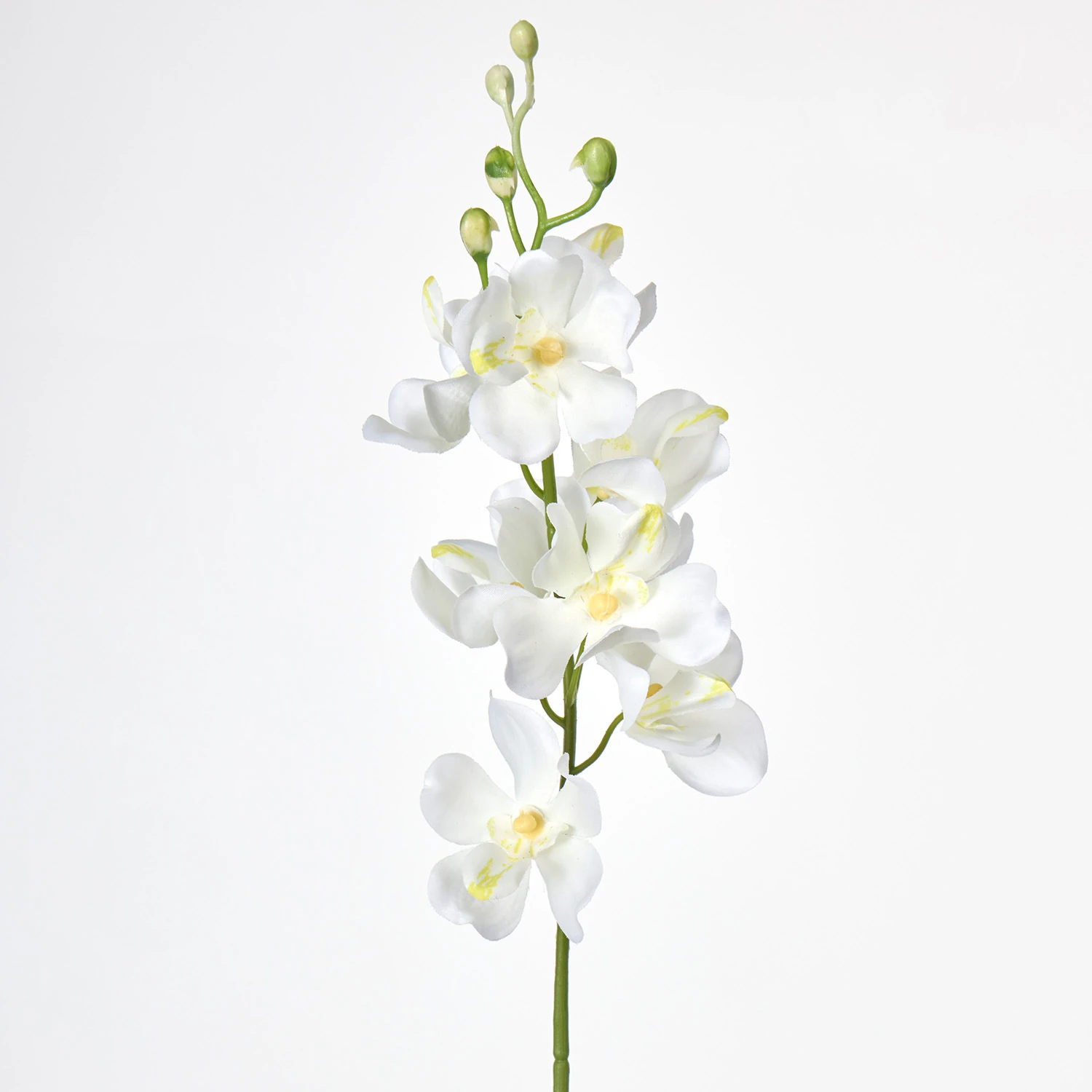 White artificial mokara orchid stem