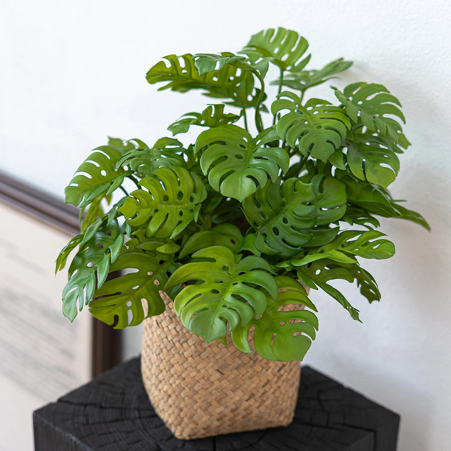 Artificial Monstera Leaf Bush displayed for planter