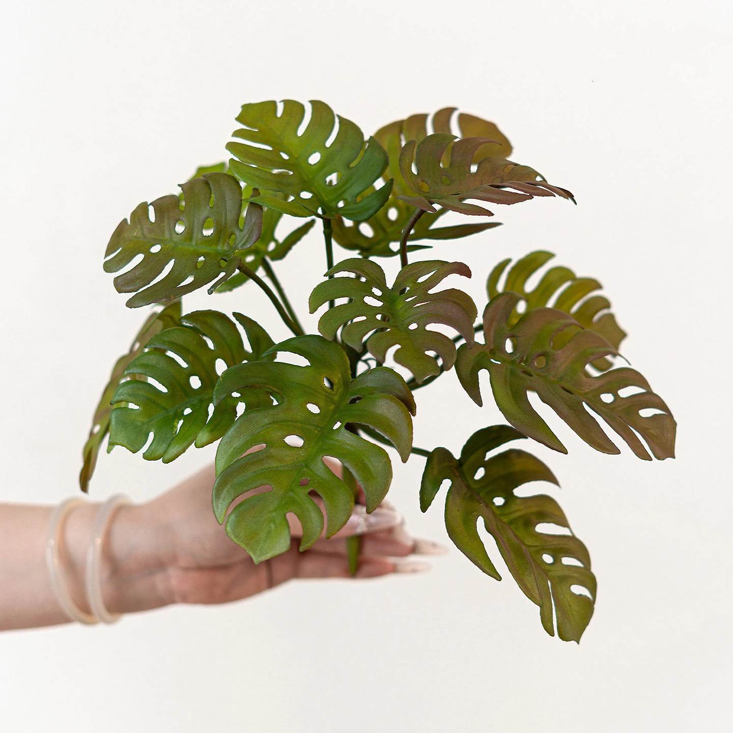 Handheld view of artificial monstera leaf bush