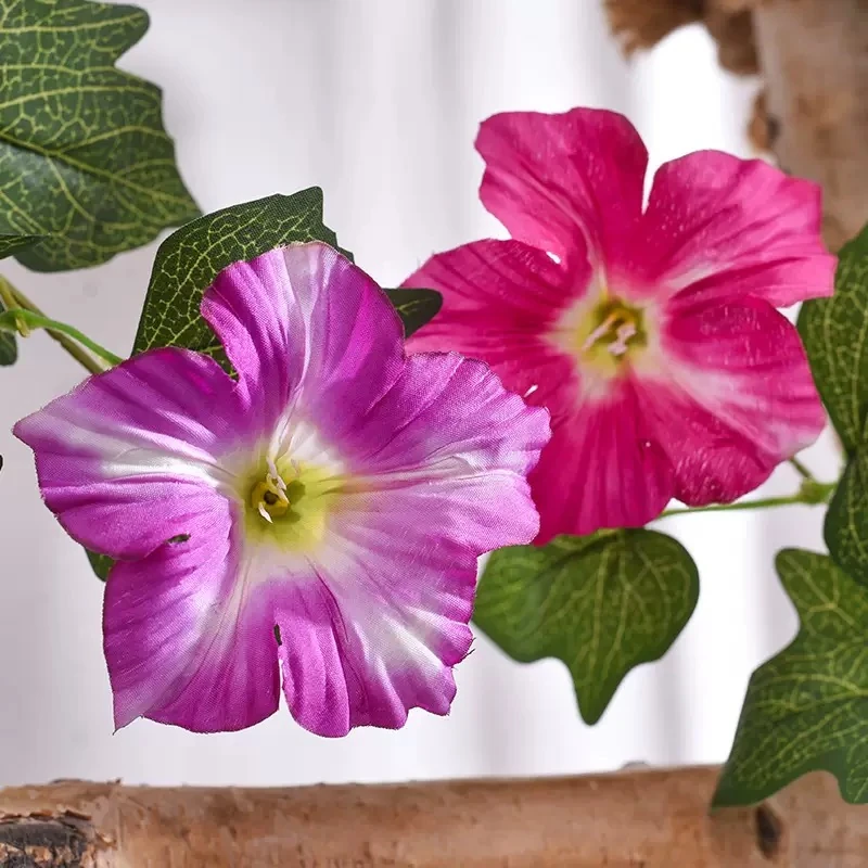 Close-up of flower artificial morning glory flower bush
