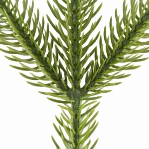 Close-up of artificial Norfolk pine foliage
