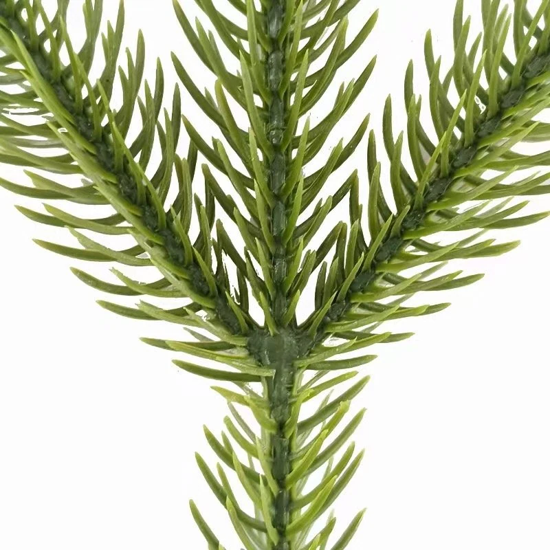 Close-up of artificial Norfolk pine foliage