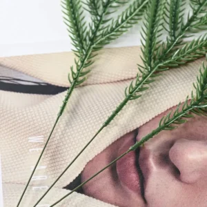 Close-up of artificial Norfolk pine foliage and slender stem
