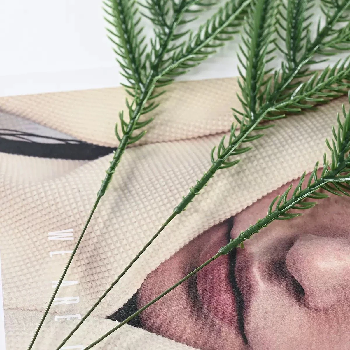 Close-up of artificial Norfolk pine foliage and slender stem