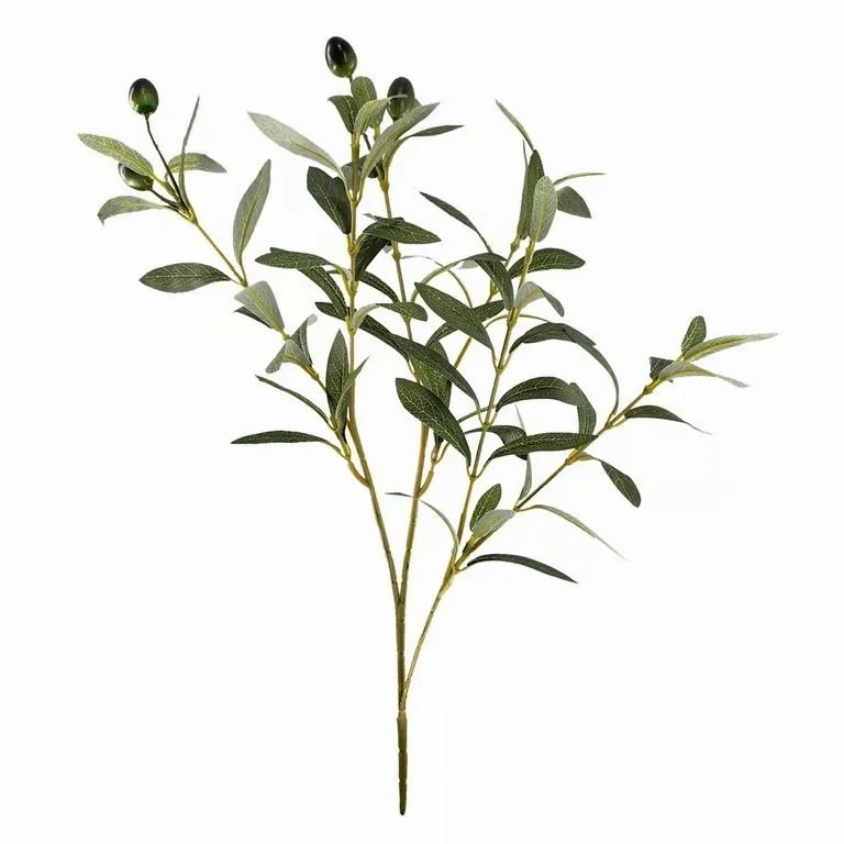 Artificial Olive Branch