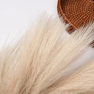 Close-up of ivory artificial pampas grass fibers