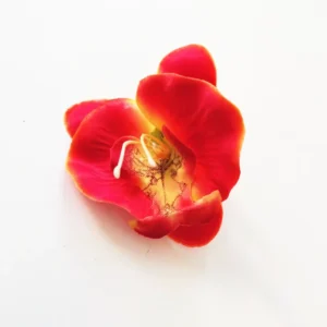 Deep Red artificial Phalaenopsis Orchid Flower Head, 7 cm