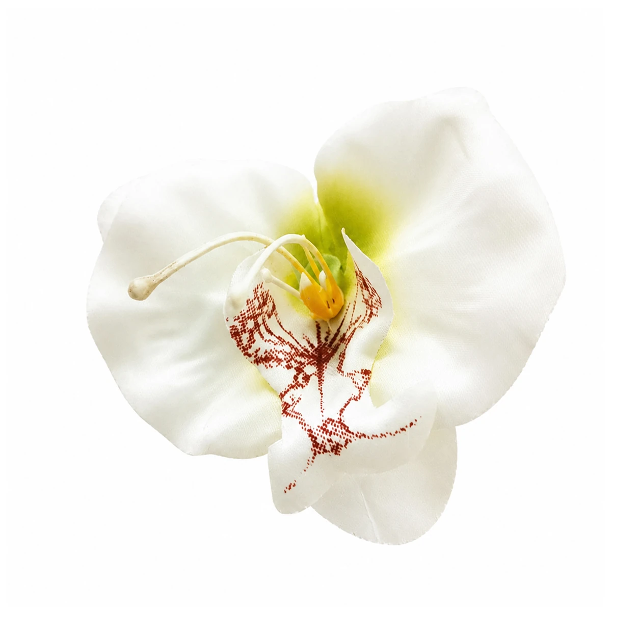 White artificial Phalaenopsis Orchid Flower Head, 7 cm