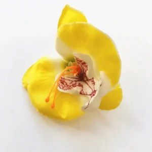 Yellow artificial Phalaenopsis Orchid Flower Head, 7 cm