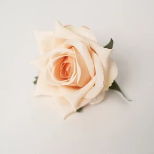 Champagne artificial Pointed-Petal Rose Flower Head, 8 cm