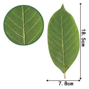 Size diagram for large leaf artificial pu magnolia leaves
