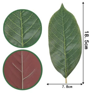 Close-up of large leaf two tone detail for artificial pu magnolia leaves