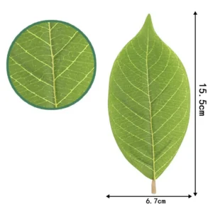Size diagram for small leaf artificial pu magnolia leaves