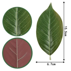 Close-up of small leaf two tone detail for artificial pu magnolia leaves
