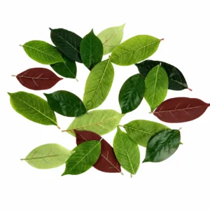 Style Options for artificial pu magnolia leaves