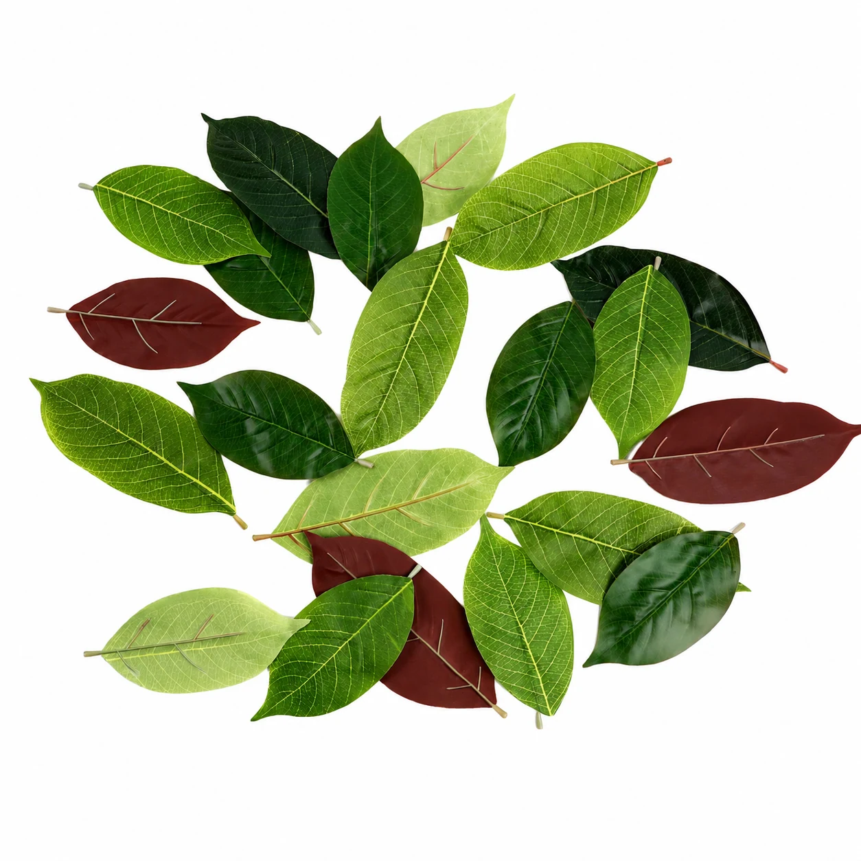 Style Options for artificial pu magnolia leaves