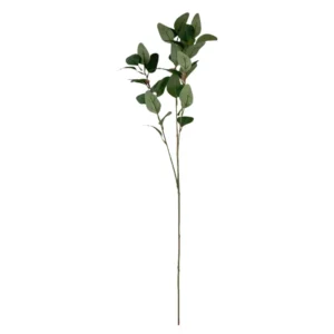 Artificial Seeded Eucalyptus Branch