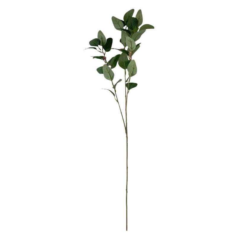 Artificial Seeded Eucalyptus Branch