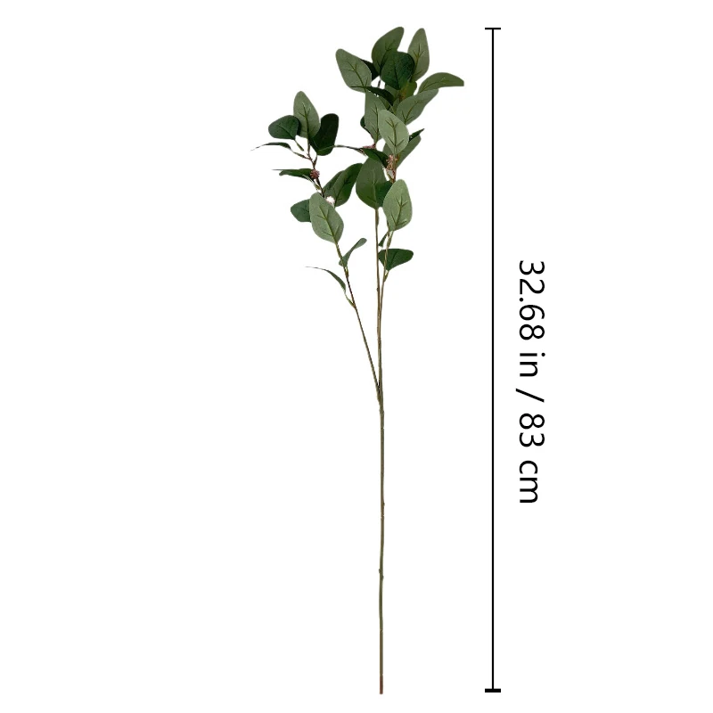 Size diagram for artificial seeded eucalyptus branch, 83 cm