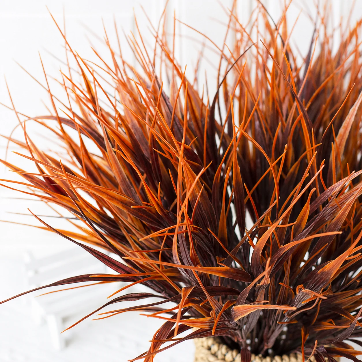 Close-up of narrow autumn grass foliage