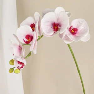 Blush White artificial seven-head phalaenopsis orchid stem