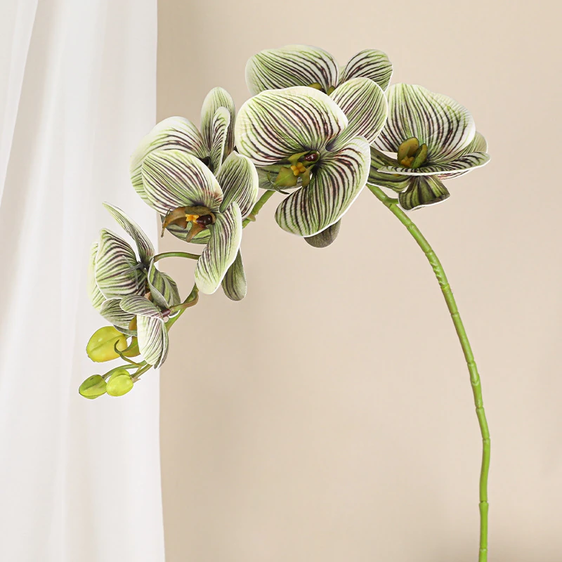 Green Striped artificial seven-head phalaenopsis orchid stem