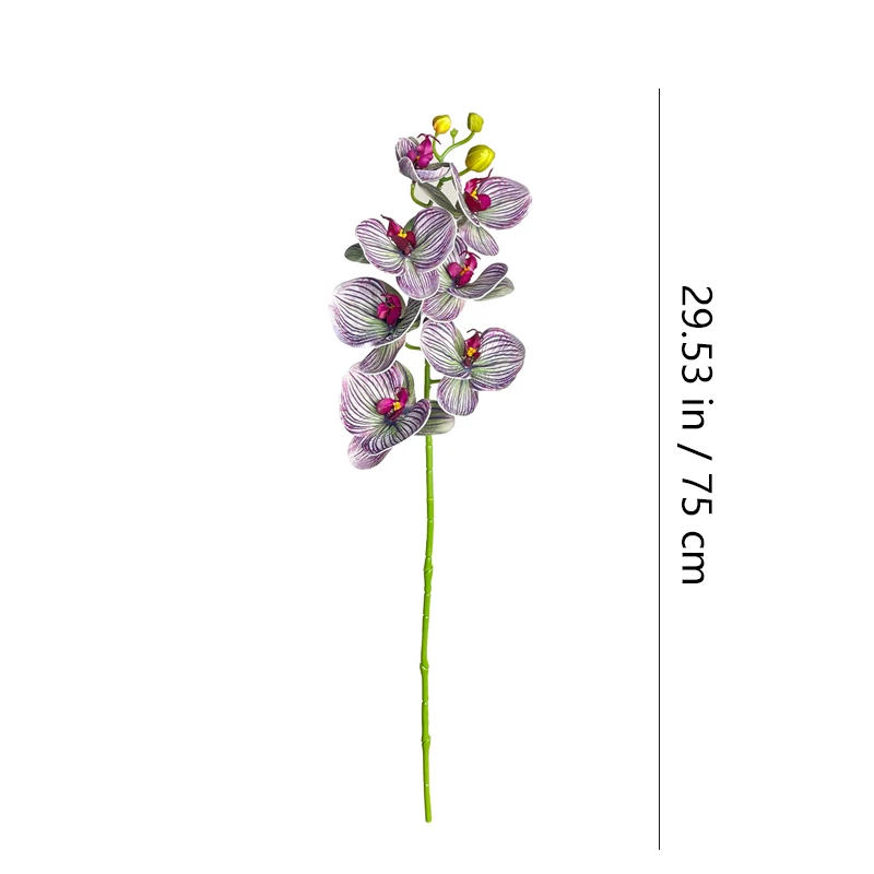 Size diagram for artificial seven-head phalaenopsis orchid stem, 75 cm