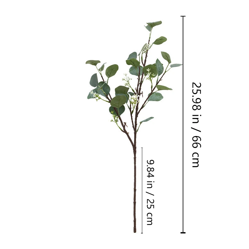 Size diagram for artificial silver dollar eucalyptus branch, 66 cm