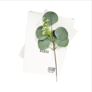Artificial silver dollar eucalyptus pick styled on a book