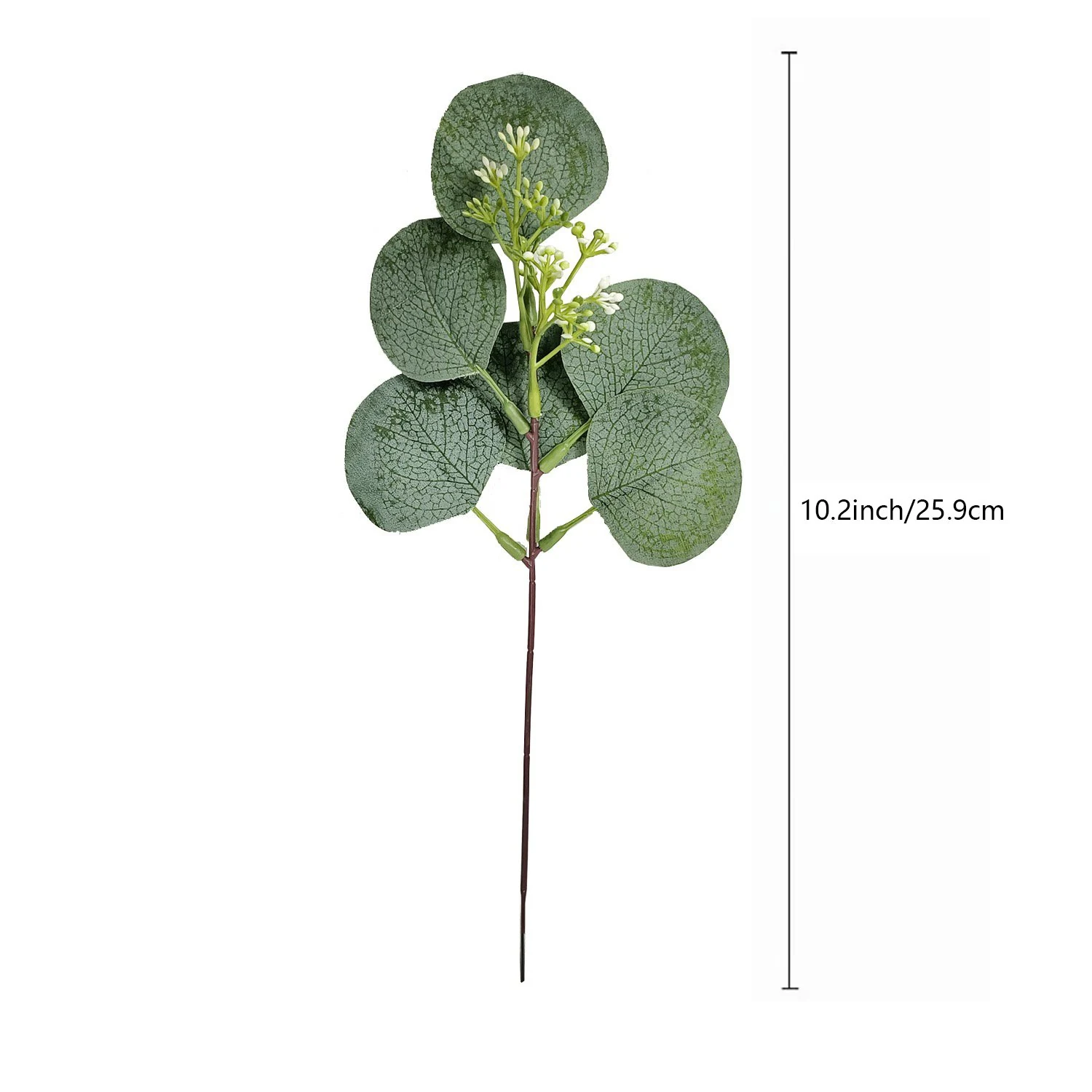 Size diagram for 25.9 cm artificial silver dollar eucalyptus pick
