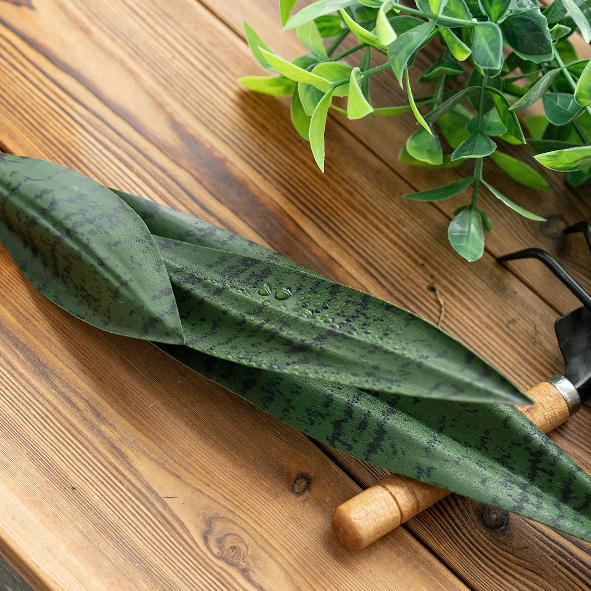 Close-up of leaf artificial snake plant leaf insert
