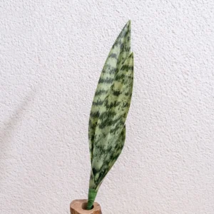 Mottled Green artificial snake plant leaf insert
