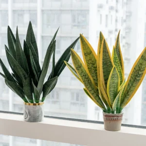 Available styles of artificial snake plant leaf insert