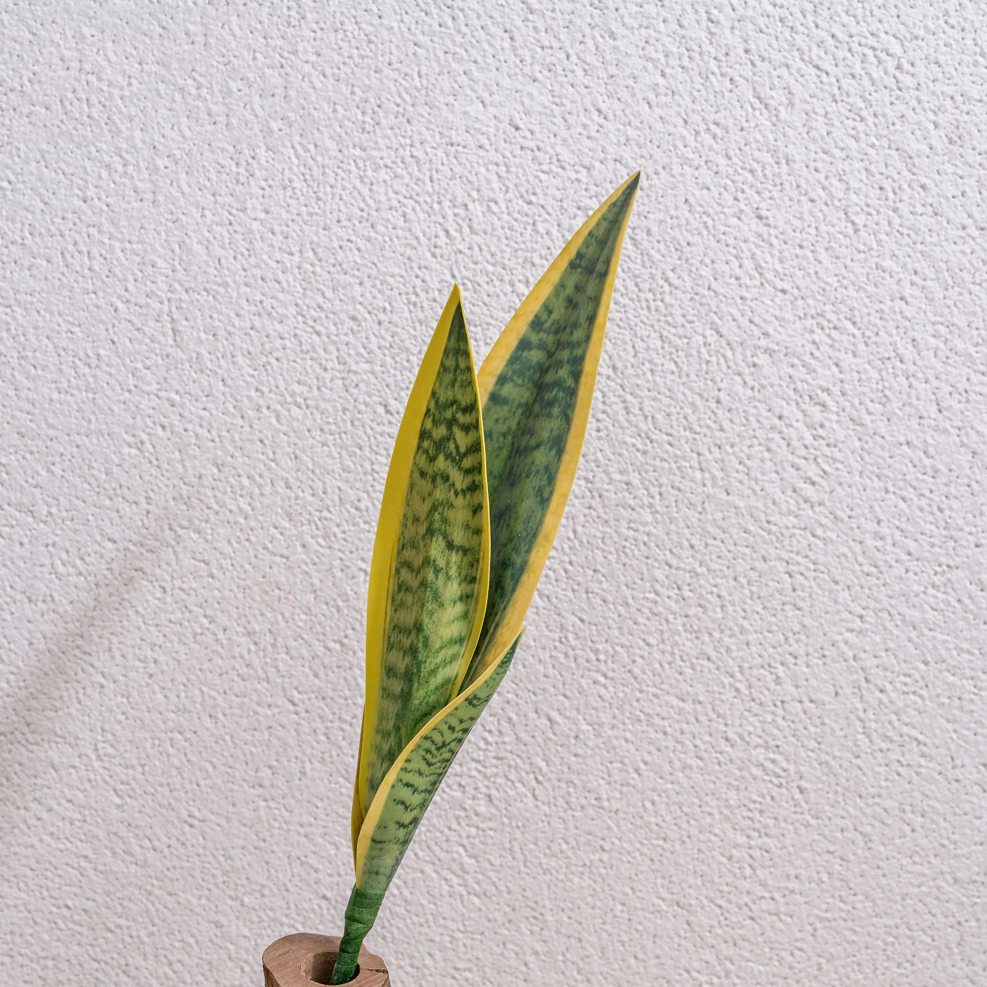 Yellow Edge artificial snake plant leaf insert