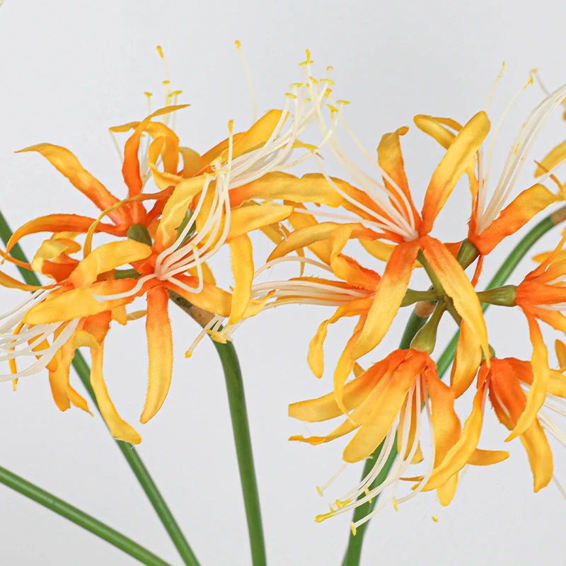 Close-up of orange artificial spider lily flower stem