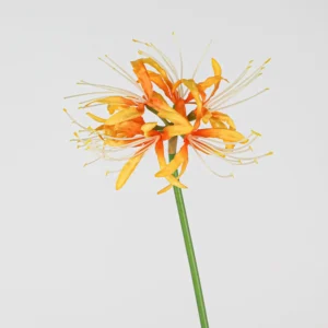 Orange artificial spider lily flower stem