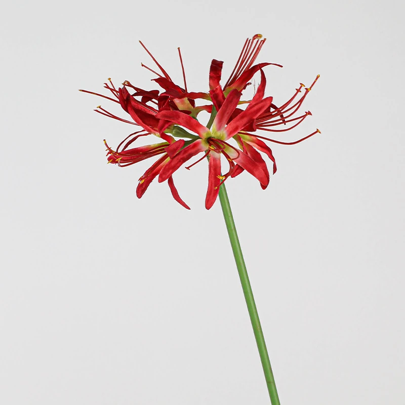 Close-up of red artificial spider lily flower stem