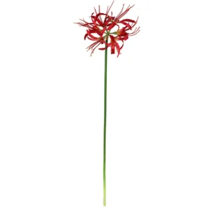 Tallo de flor de lirio araña artificial rojo