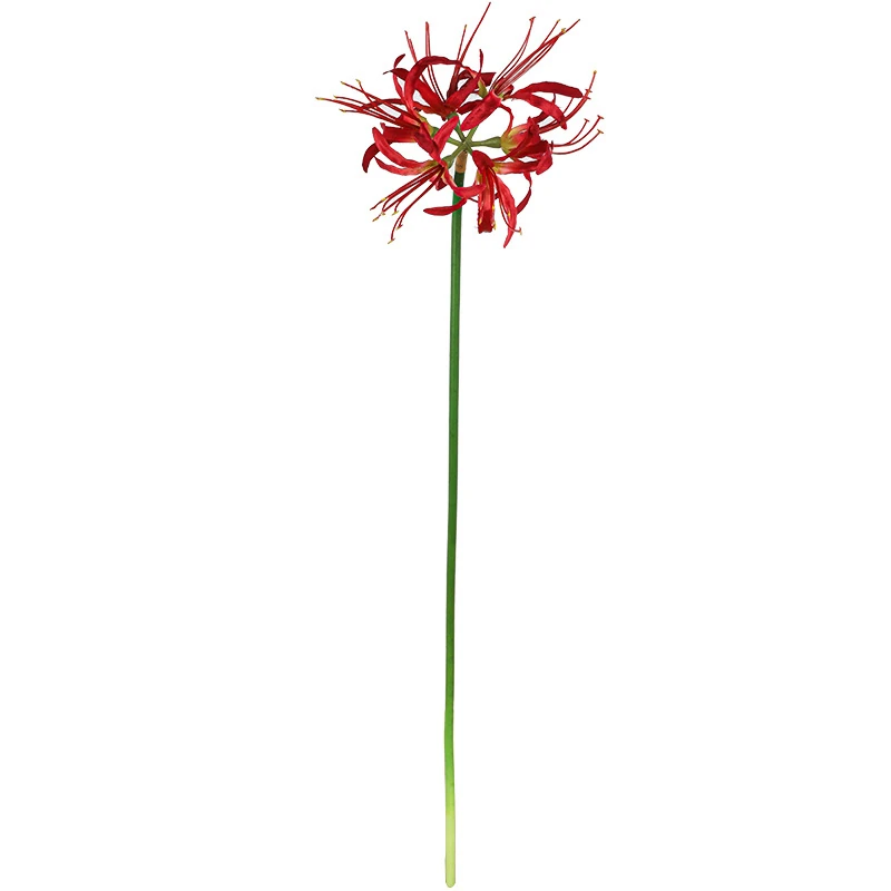 Tallo de flor de lirio araña artificial rojo