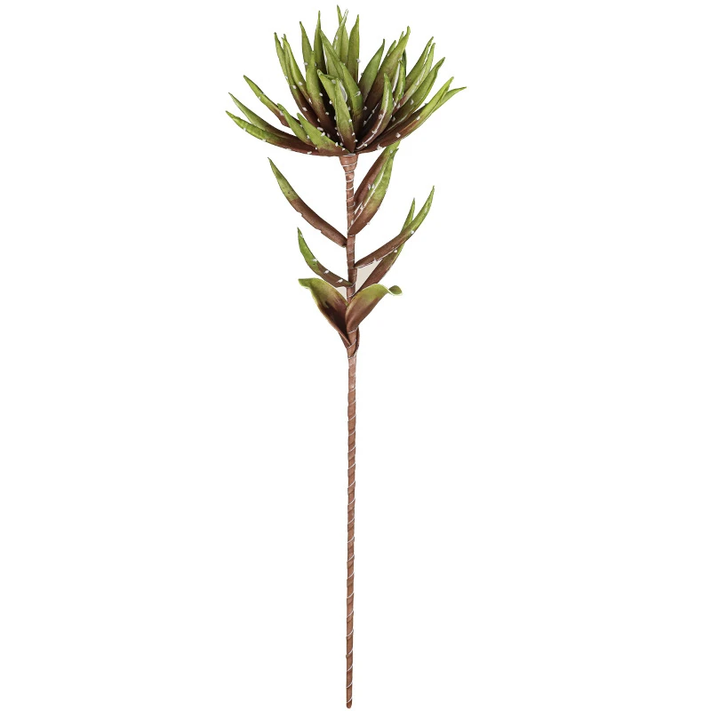 Verde Marrón Vista completa del tallo de flor de protea artificial puntiagudo