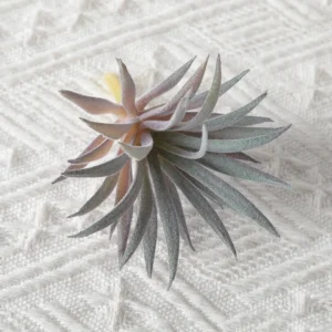 Grey Purple artificial spiky succulent pick