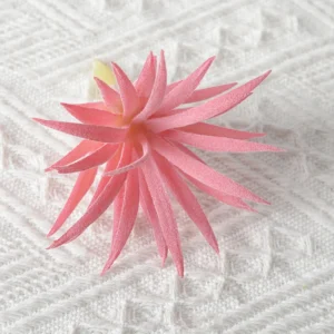 Rose Pink artificial spiky succulent pick