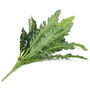 Alternate view of alternate artificial split-leaf philodendron bush