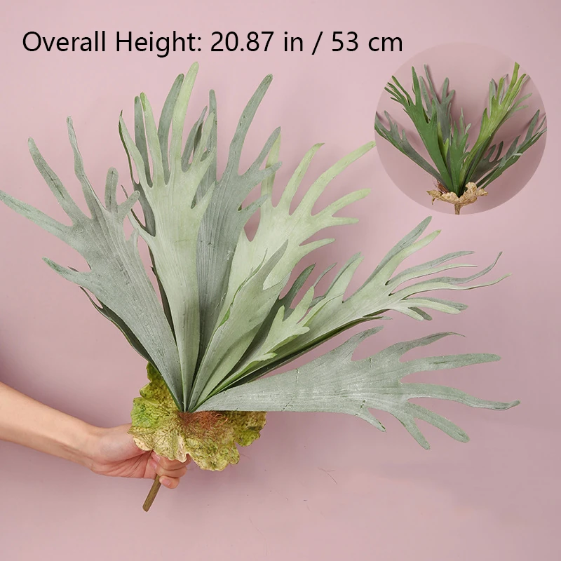 Size diagram for artificial staghorn fern wall plant collection, 53 cm